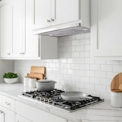 Collection image for: Insert Range Hood