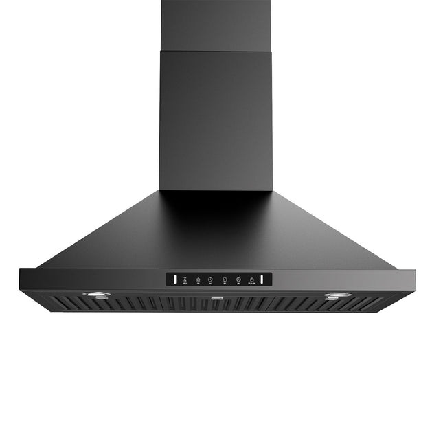 30 in. 900 CFM Convertible Wall Mount Range Hood in Stainless Steel with LED Lights, Carbon Filters and Touch, Gesture