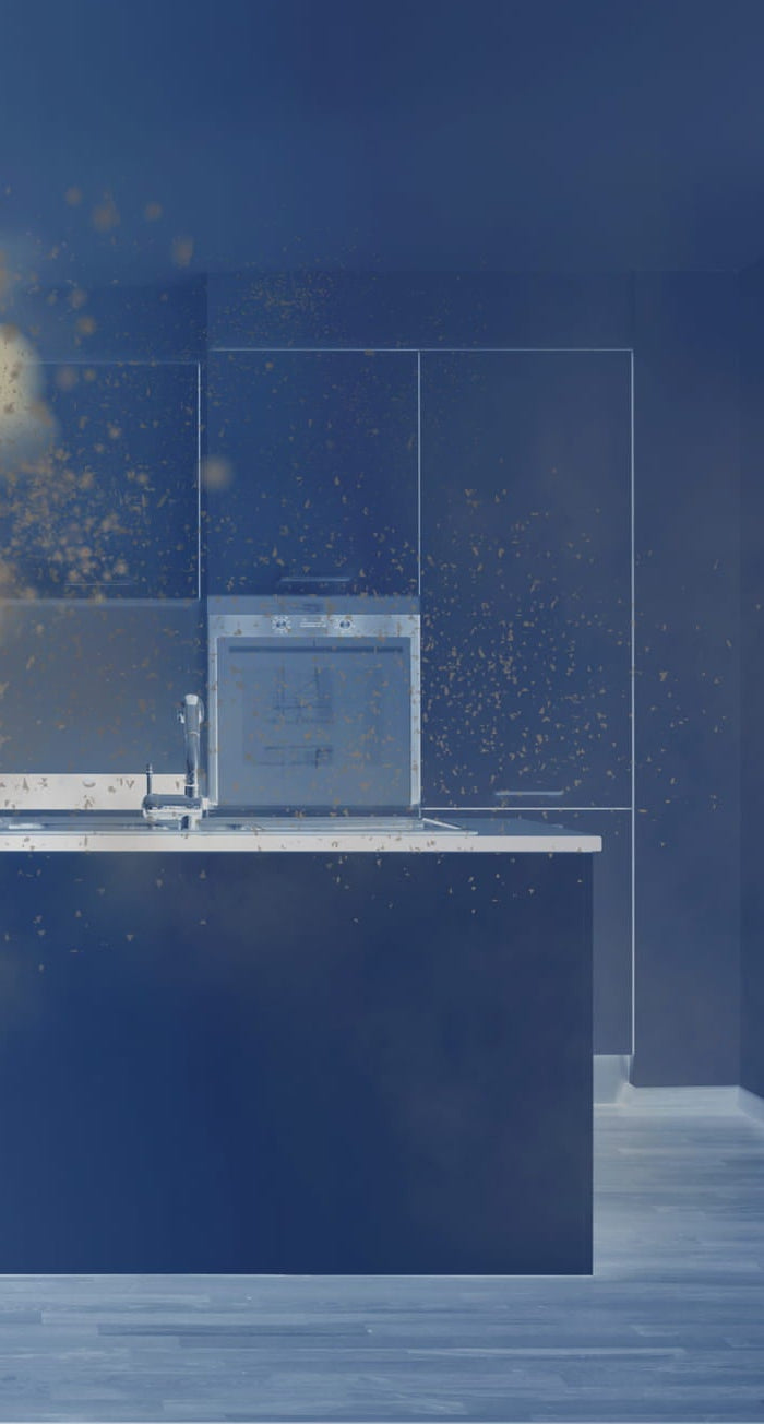 <h2><strong>Remove Air Pollution From Your Kitchen.</strong></h2>